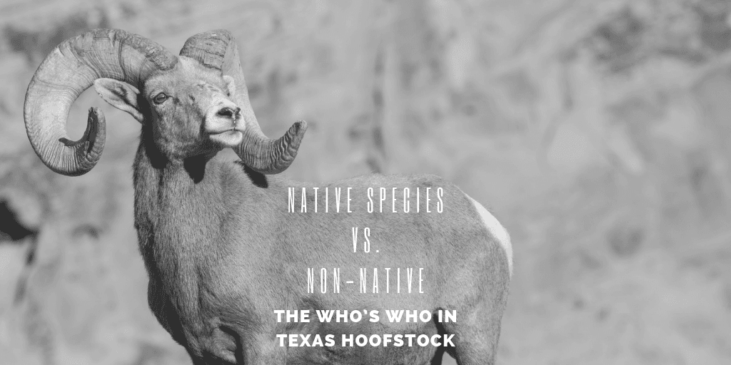 Native vs. Non-Native Species