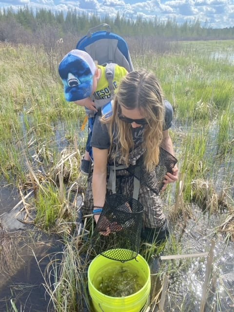 catching minnows in a trap