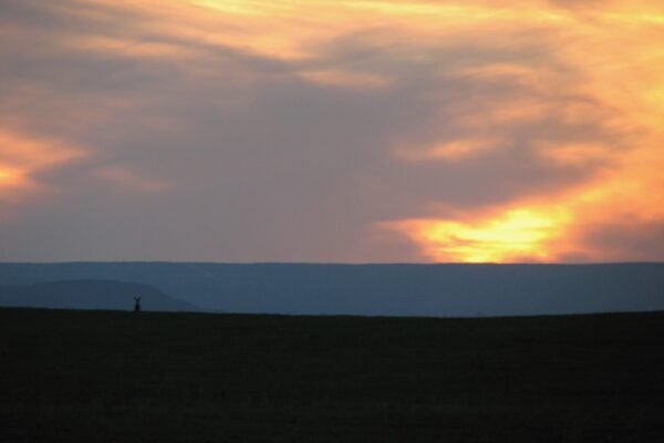 Best Hunting Quotes of All