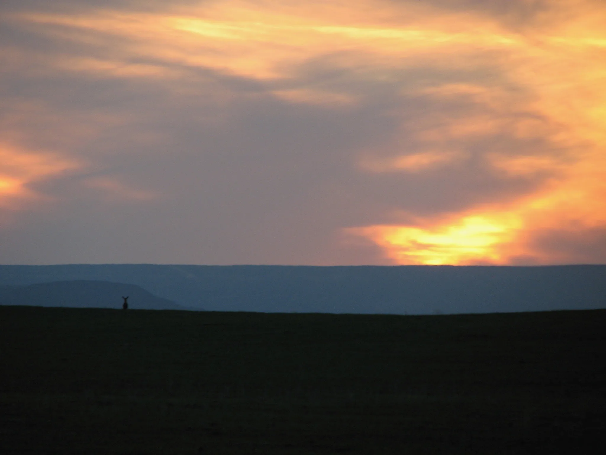 Best Hunting Quotes of All