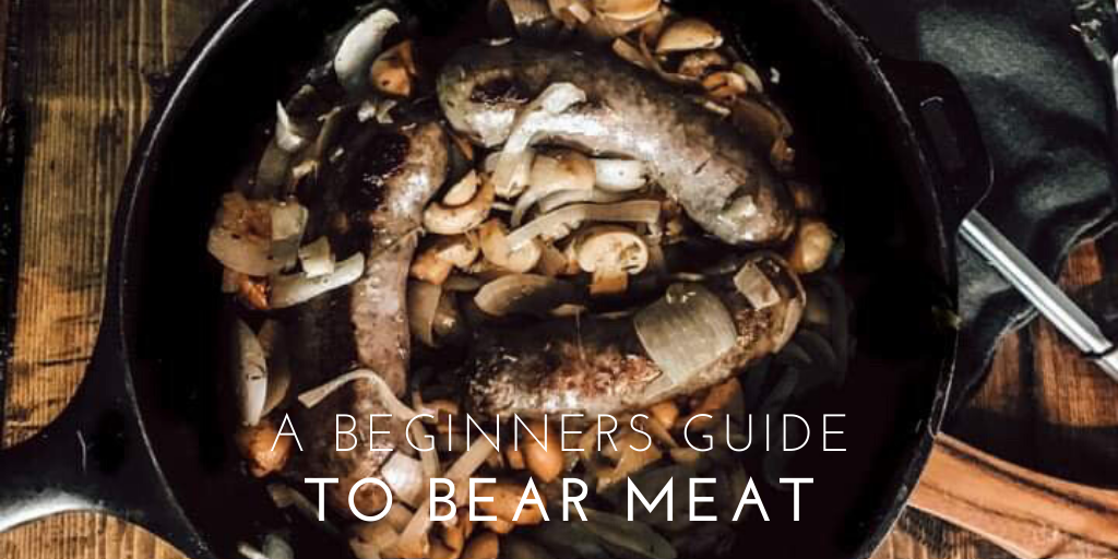 Bear Meat: A Guide to a Risk-Free Feast 