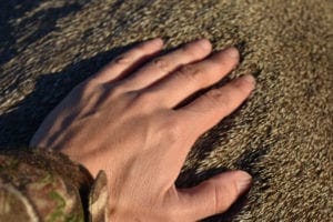 Animal and Land Conservation