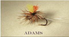 Best Trout Flies