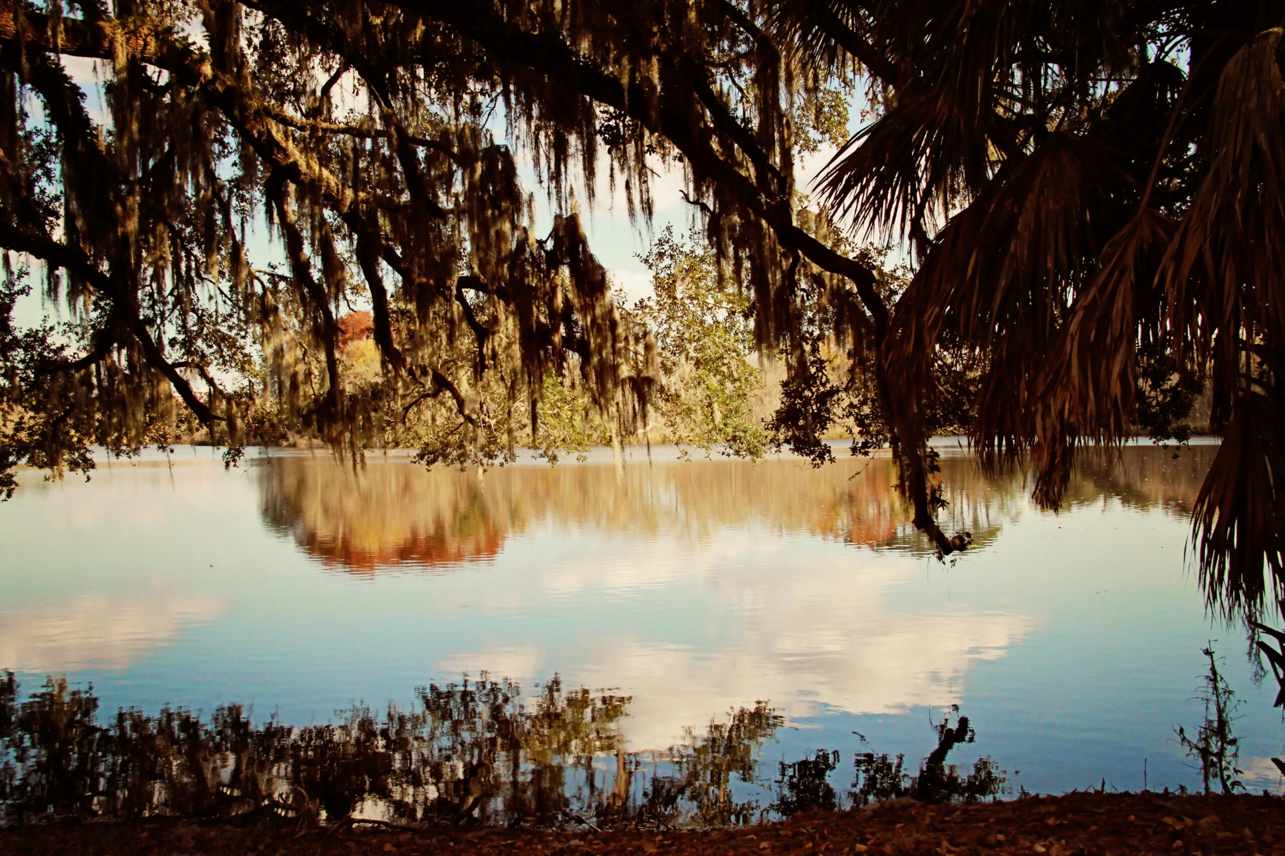 Southwest Region of Florida: A Fishing and Hunting Journey