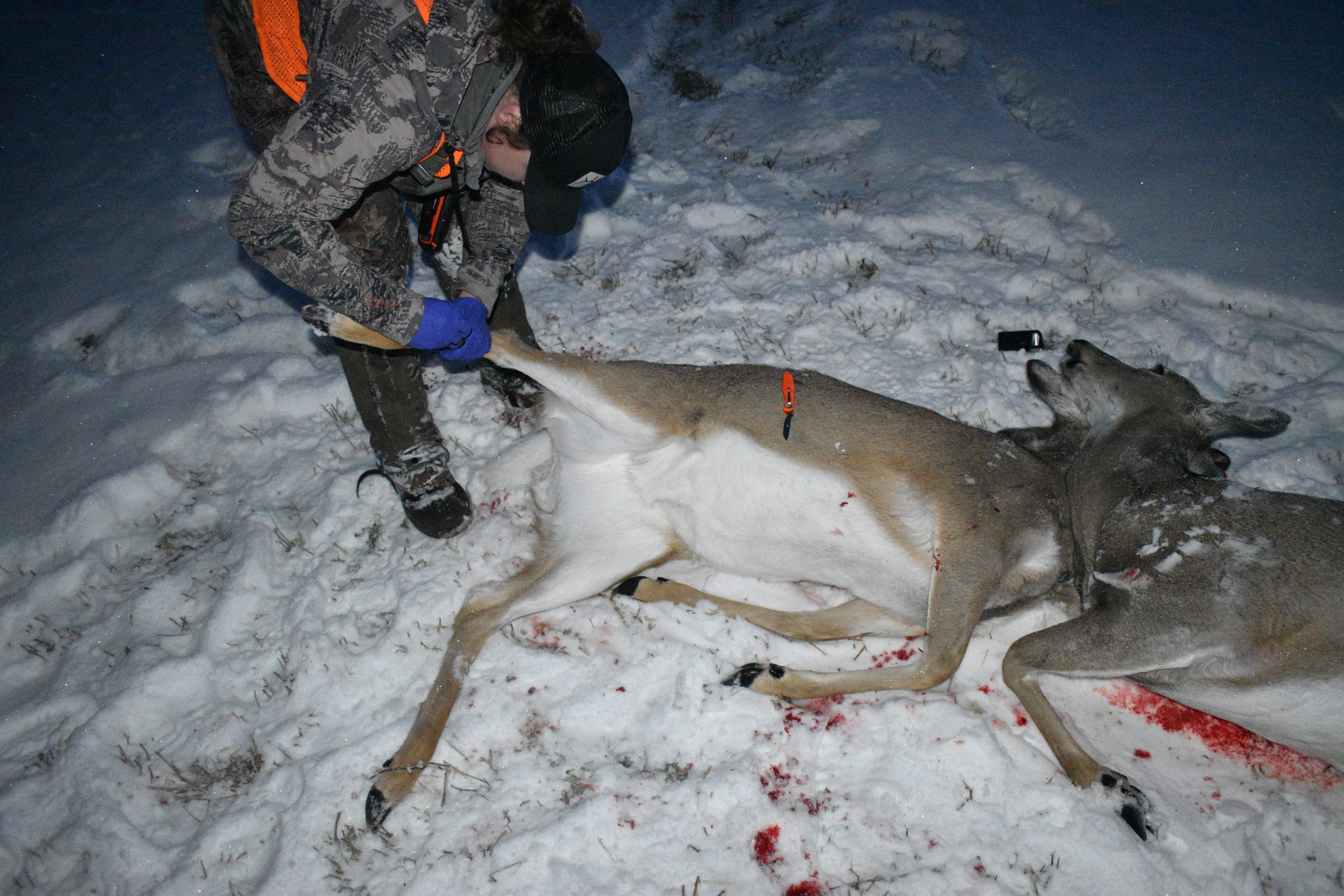 Removing Gamey Taste from Venison