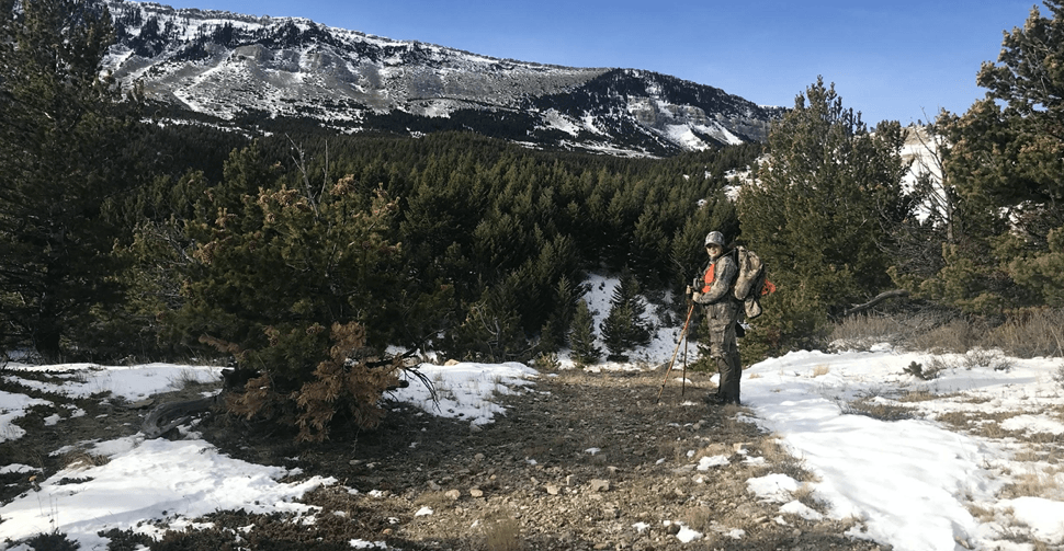 scouting
