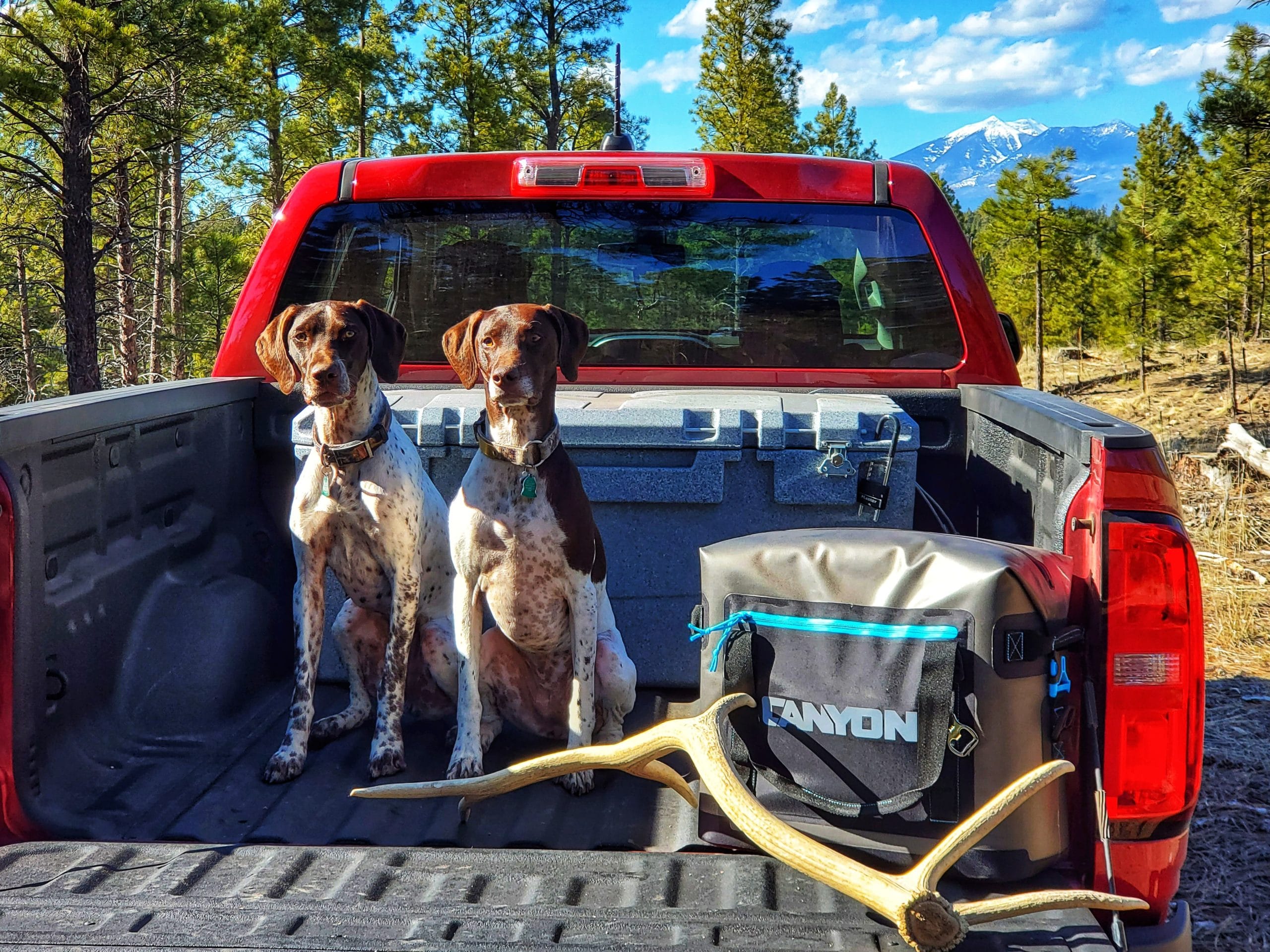 Canyon Coolers