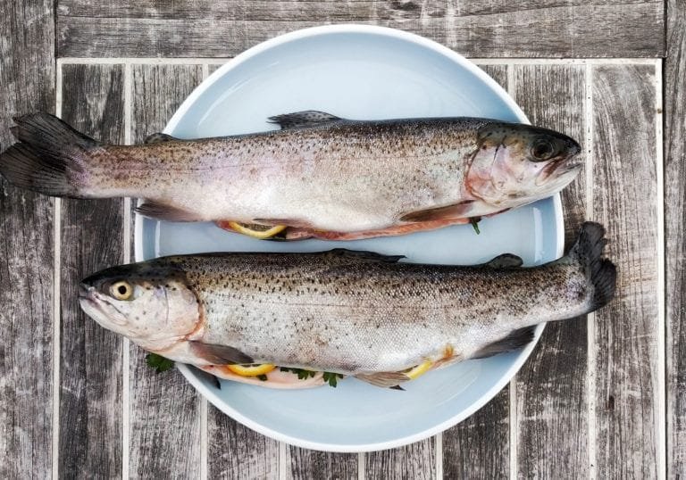 Trout Recipe: Macadamia-Crusted Trout with Mustard Sauce