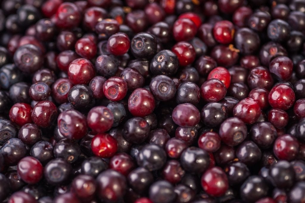 berry picking for grapes