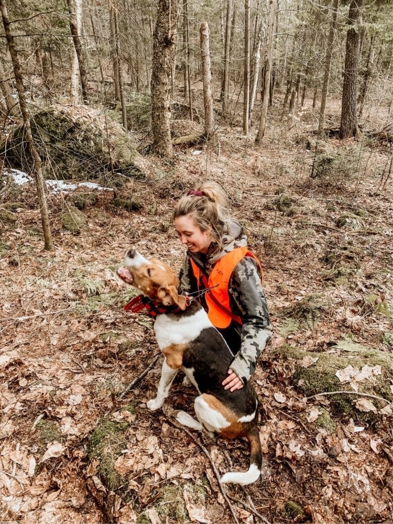 Canadian bear deals hunting dog