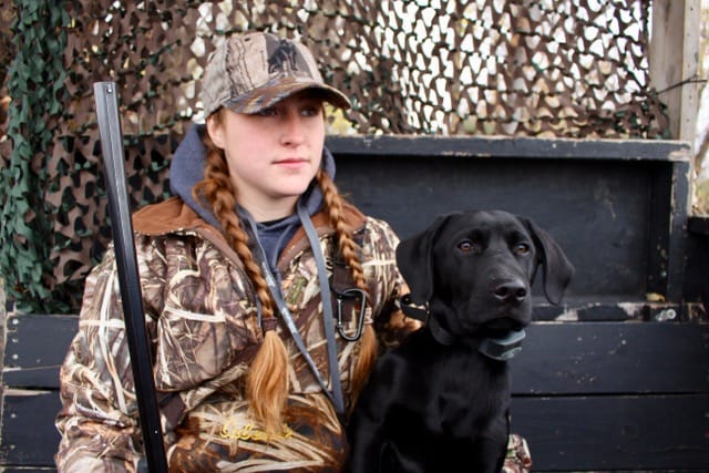 Upland bird dog store training