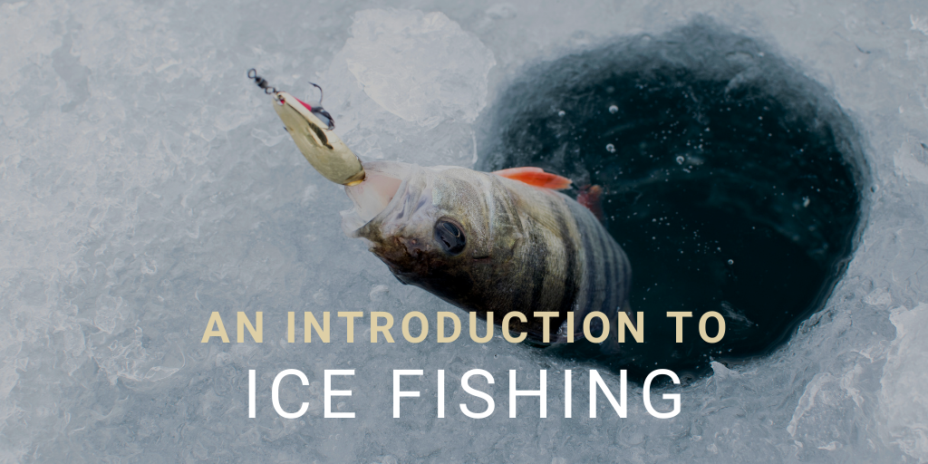 Ice Fishing for Beginners: A Comprehensive Guide