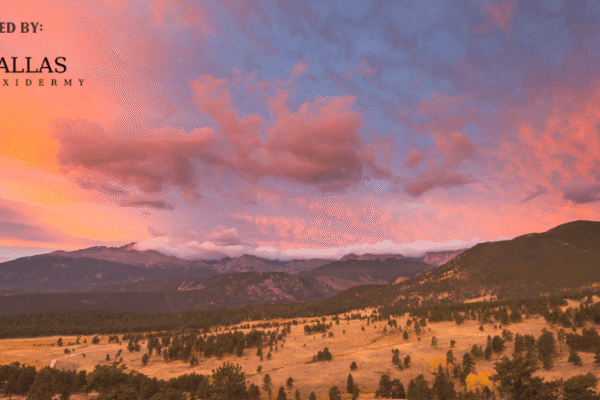 Conservation Nonprofits