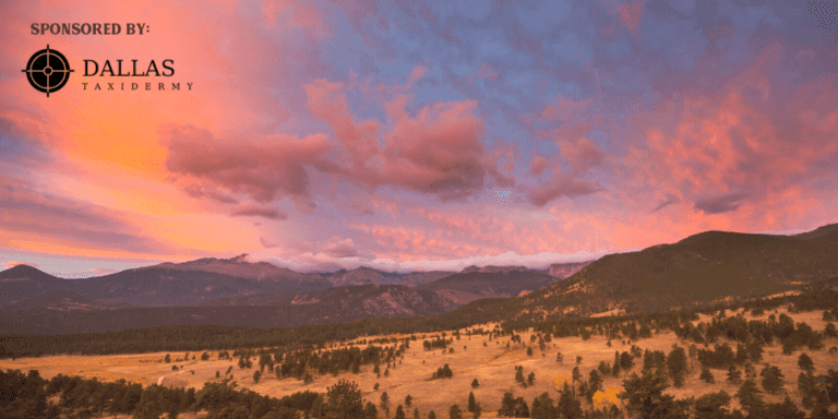 Conservation Nonprofits