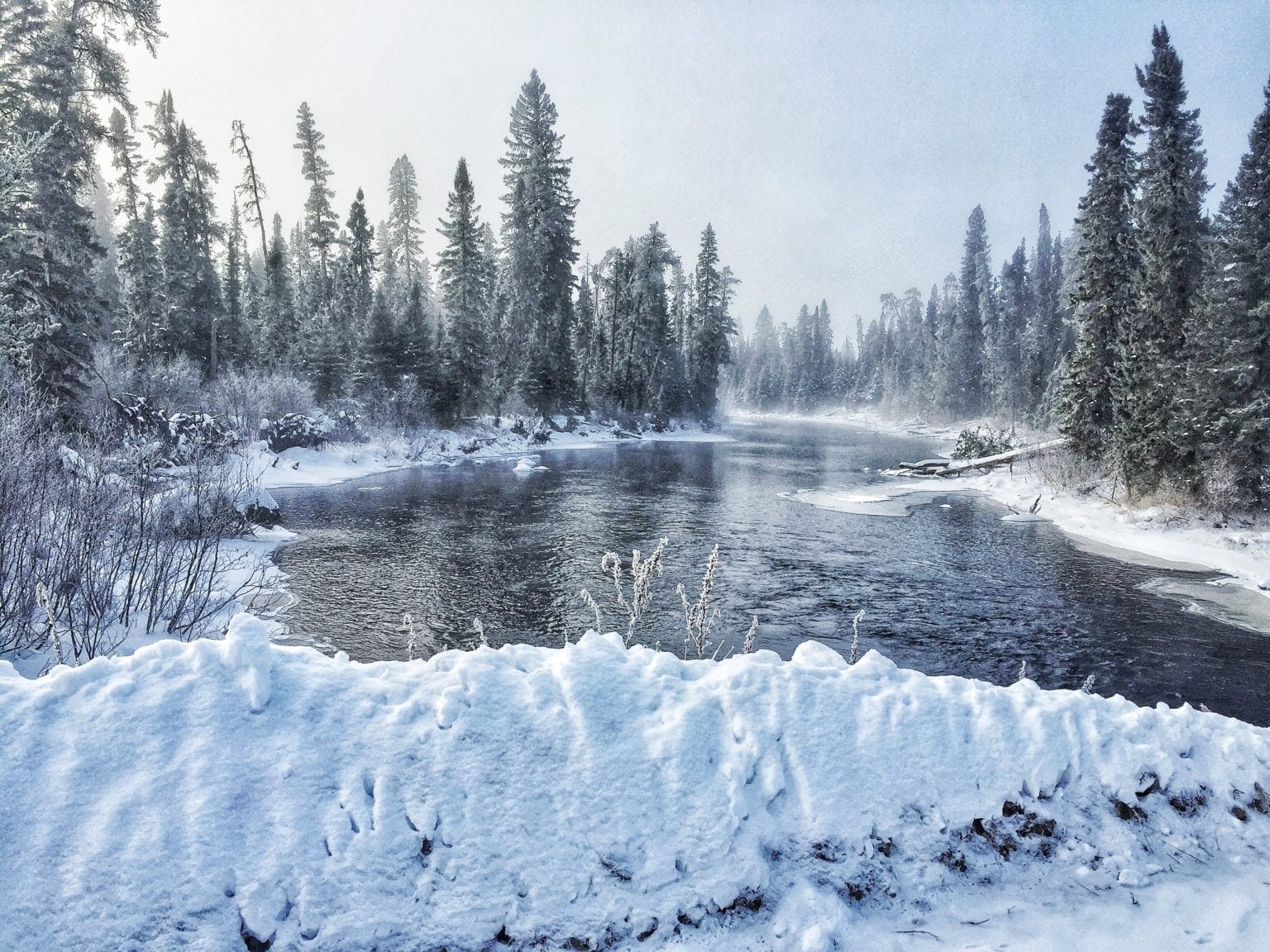 The Ultimate Guide to Hunting in Ontario: Tips and Tricks