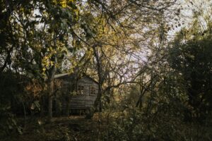 Our Transition to Life Off the Grid