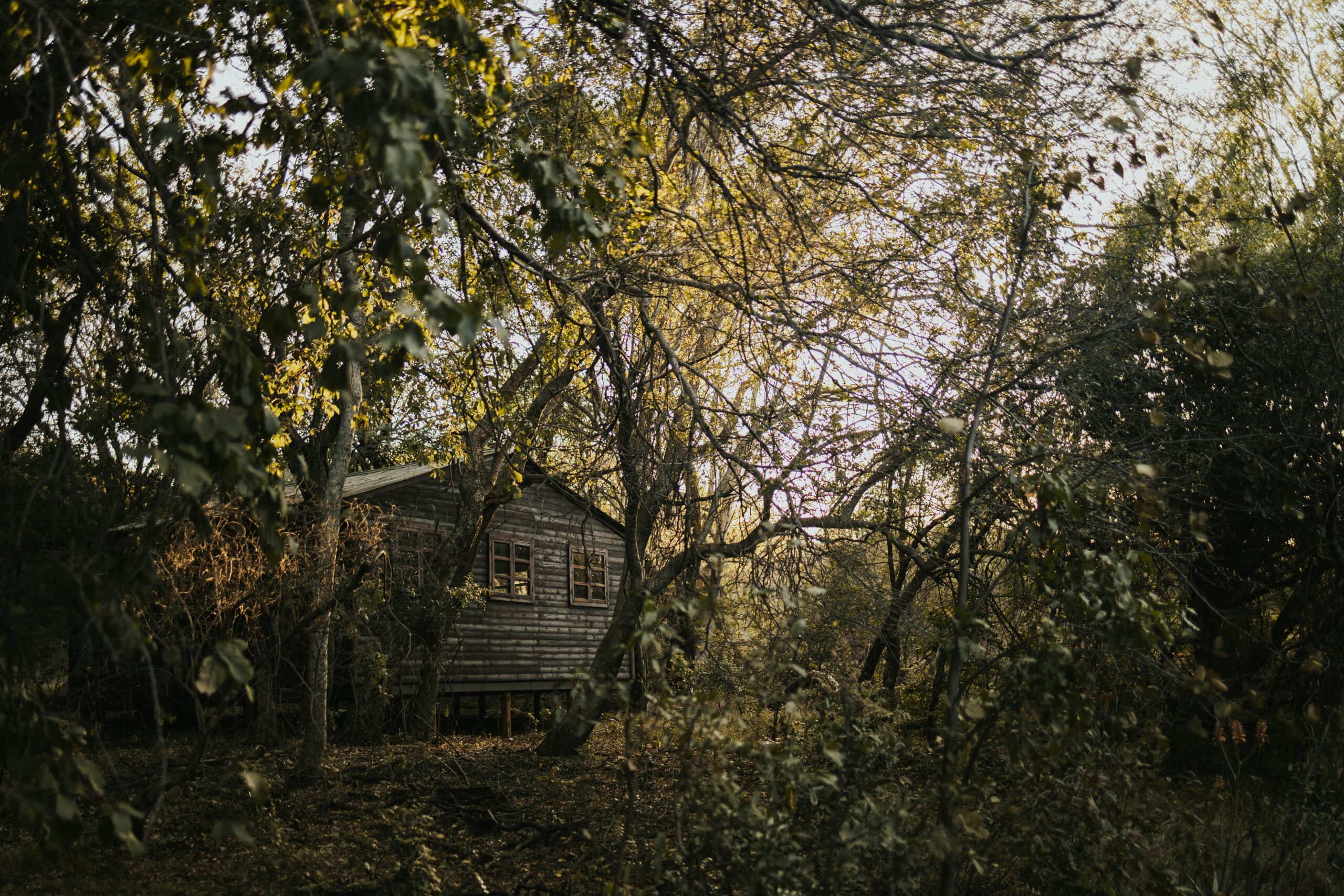 Our Transition to Life Off the Grid