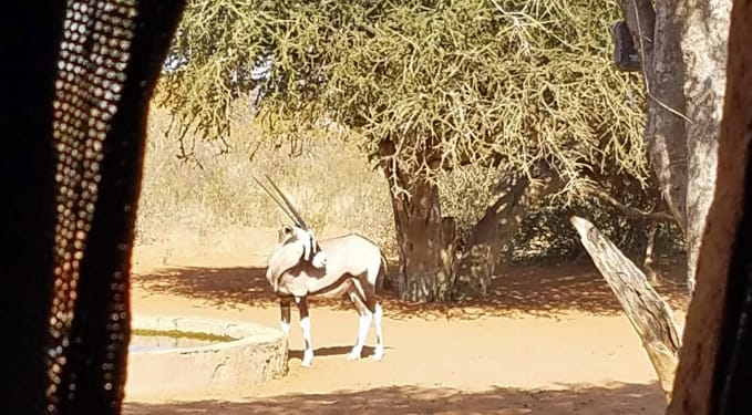 hunting in africa