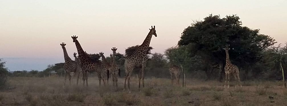 hunting in africa