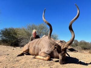 Kudu in South Africa: Conserve, Protect, Hunt