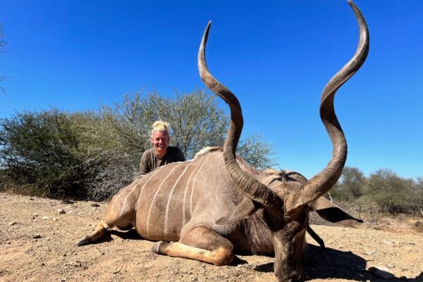 Kudu in South Africa: Conserve, Protect, Hunt