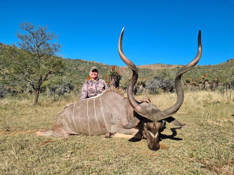hunting kudu