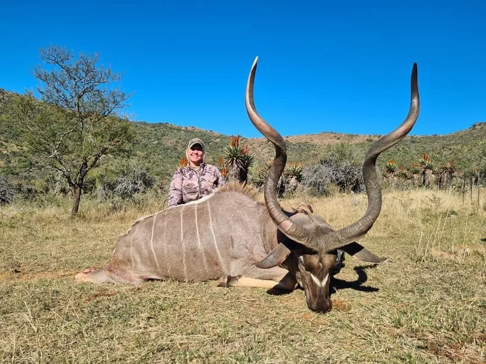 hunting kudu