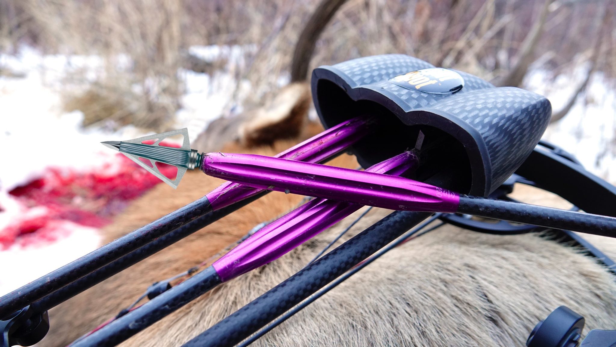 Benefits Of The Pro Tracker Archery Bad Boys 1299