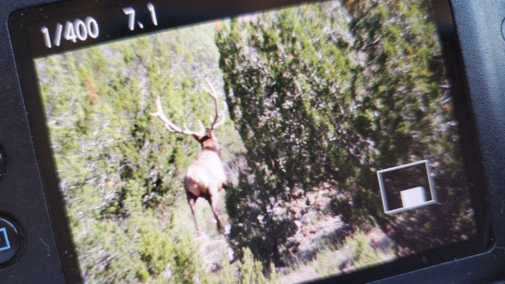 Elk Hunt Preparation