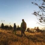 Spot and Stalk Deer Hunt: 11 Tips to Use NOW