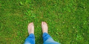 Miss Pursuit Earthing