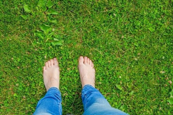 Miss Pursuit Earthing