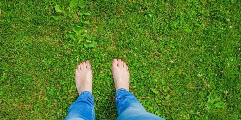 Earth Day, Every Day