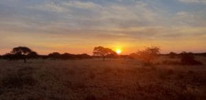 miss pursuit hunt africa