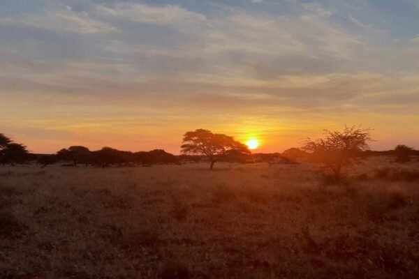 miss pursuit hunt africa