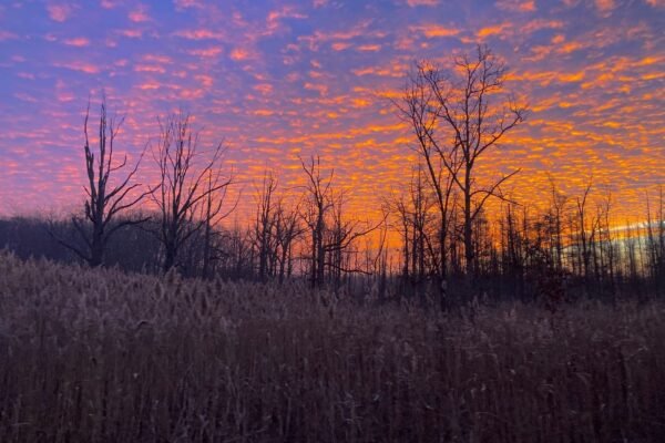 miss pursuit getting outside
