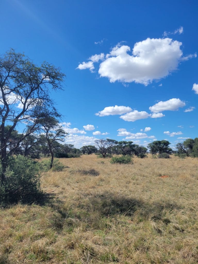 hunting in south africa