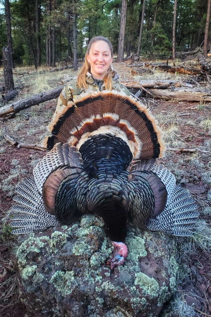 Miss Pursuit Pregnant and turkey hunting