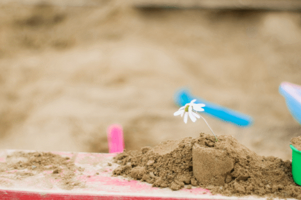 miss pursuit backyard