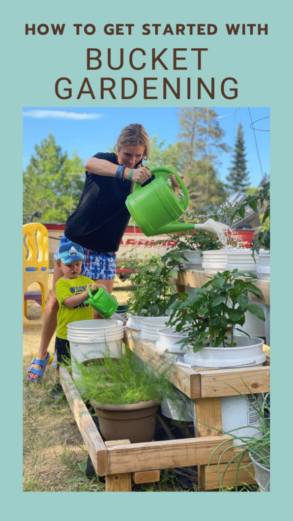 Bucket Gardening: How to Get Started