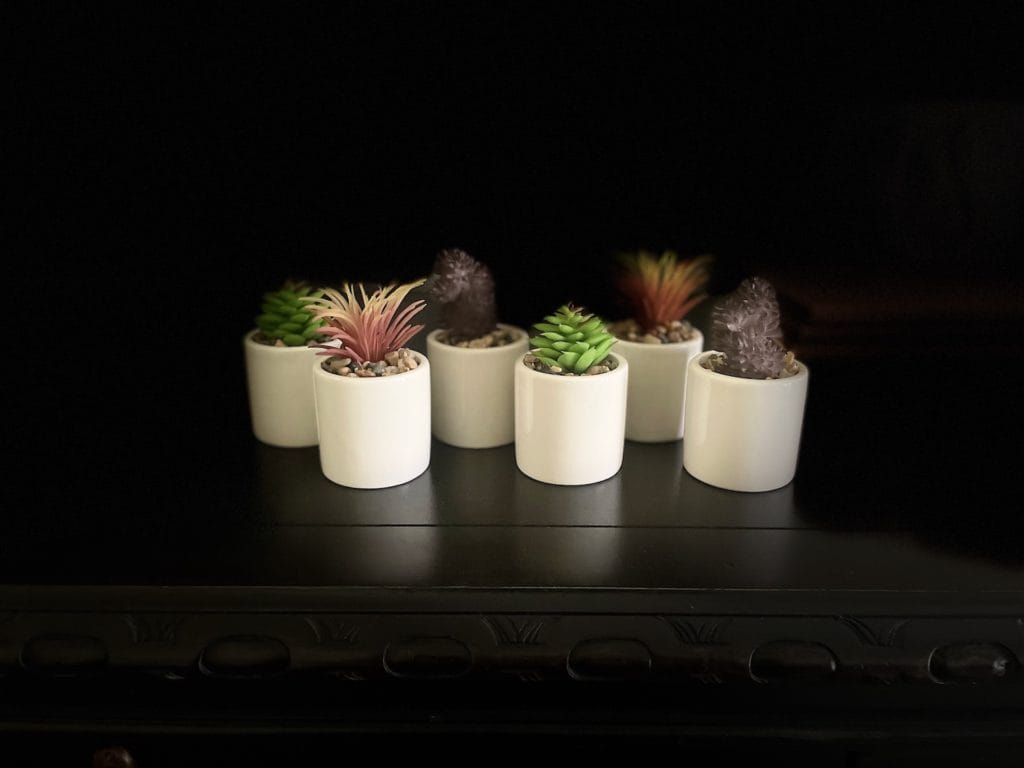 Small Faux Succulent Plants