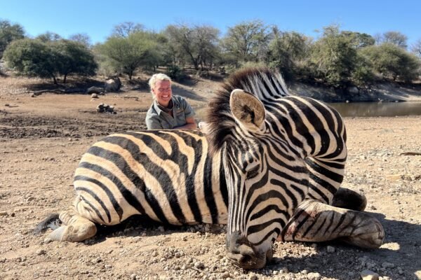 Zebra Hunting: Why Would Anyone Kill One?