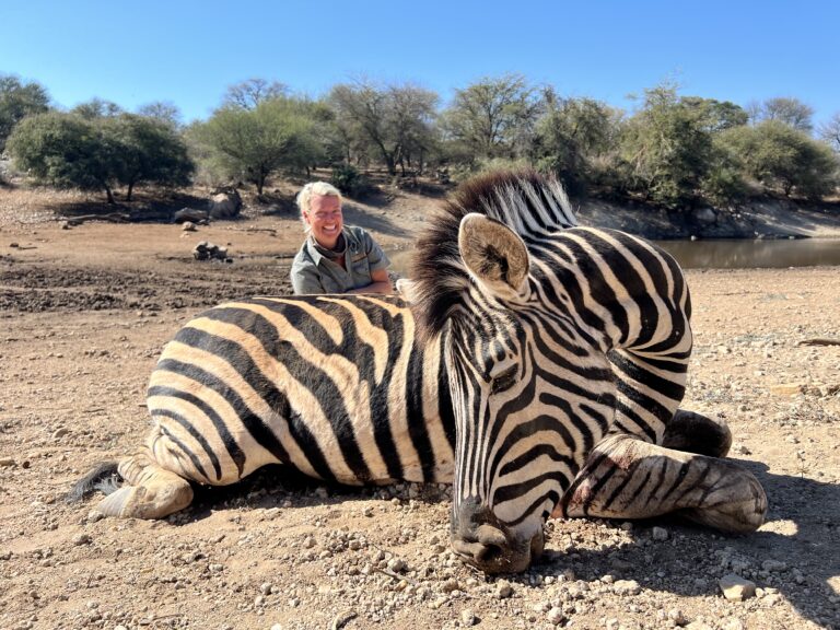 Zebra Hunting: Why Would Anyone Kill One?