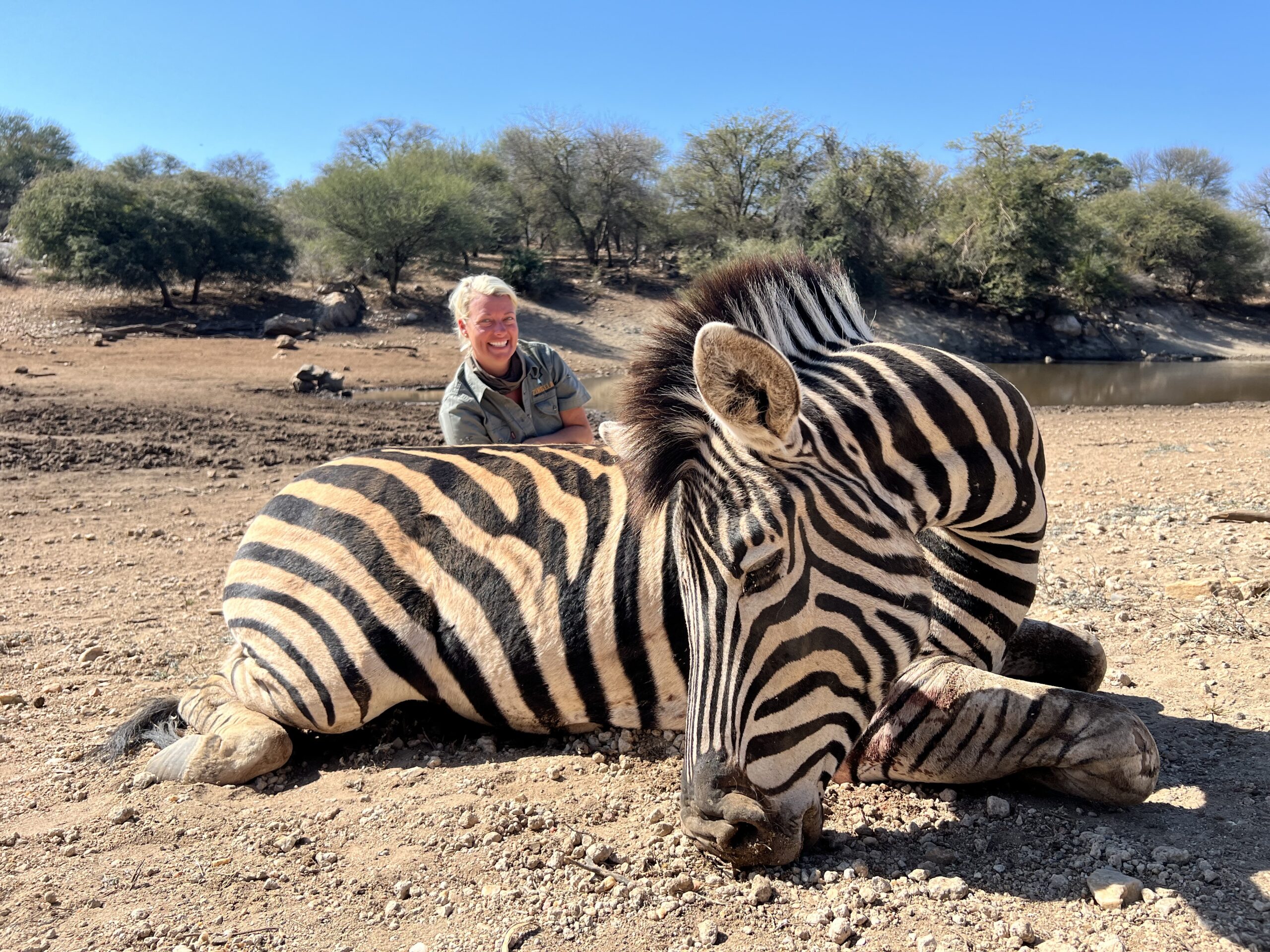 Zebra Hunting: Why Would Anyone Kill One?