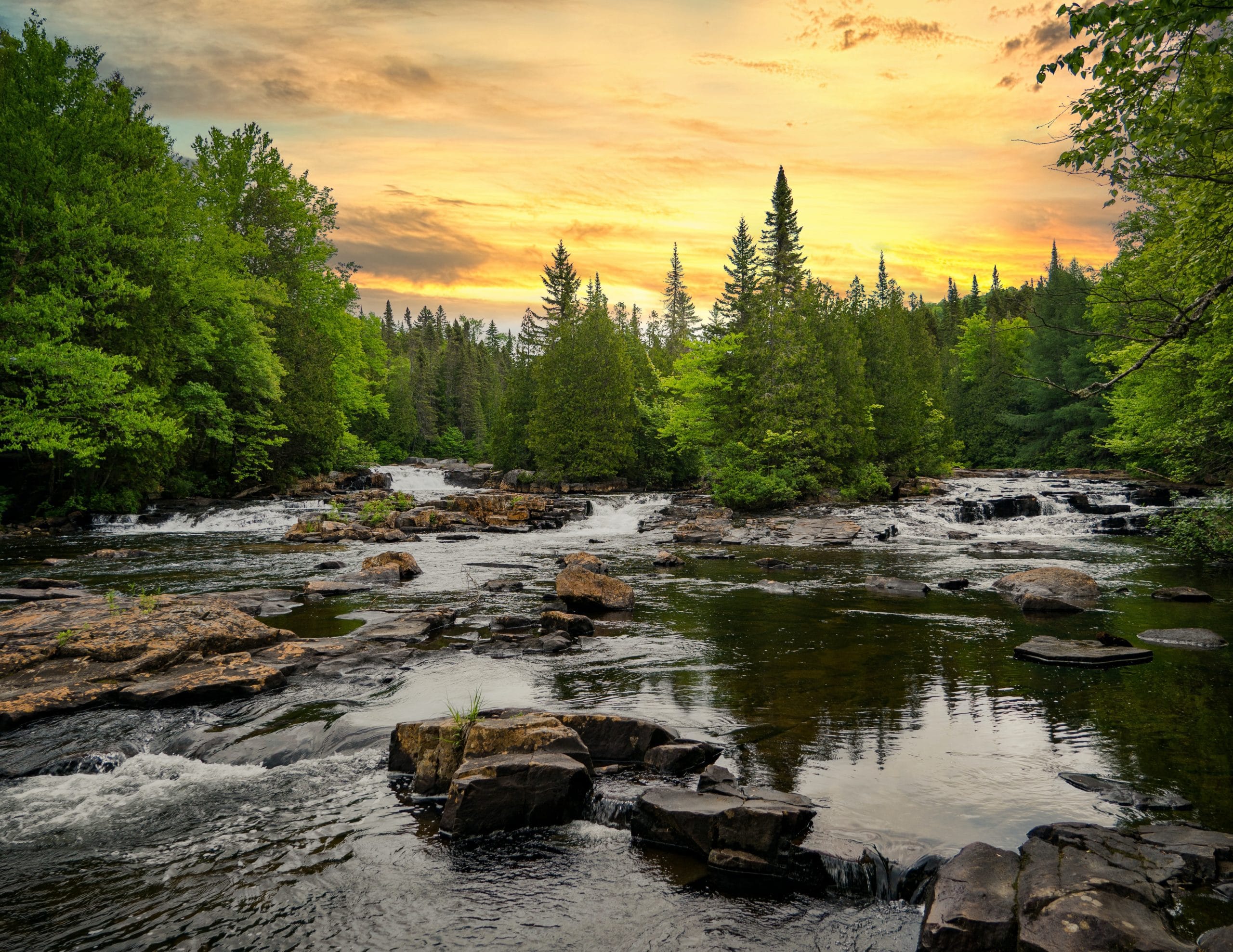 Wilderness Medicine: Let’s Talk wilderness medicine