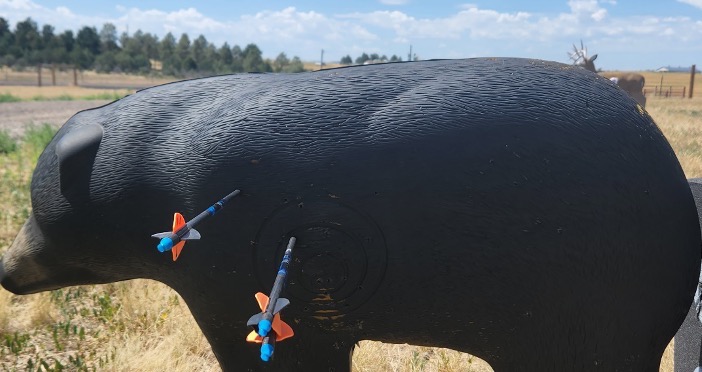 Archery Tips for Hunting
