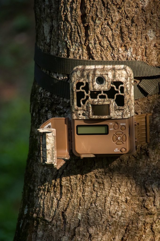 Trail Camera Placement Tips