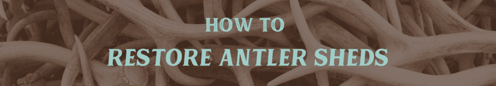 How to Restore Antler Sheds