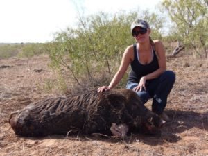 hog hunting in texas