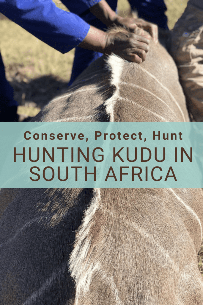Conserve, Protect, Hunt: Hunting Kudu In South Africa